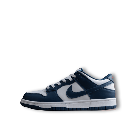 Dunk Low Valerian Blue